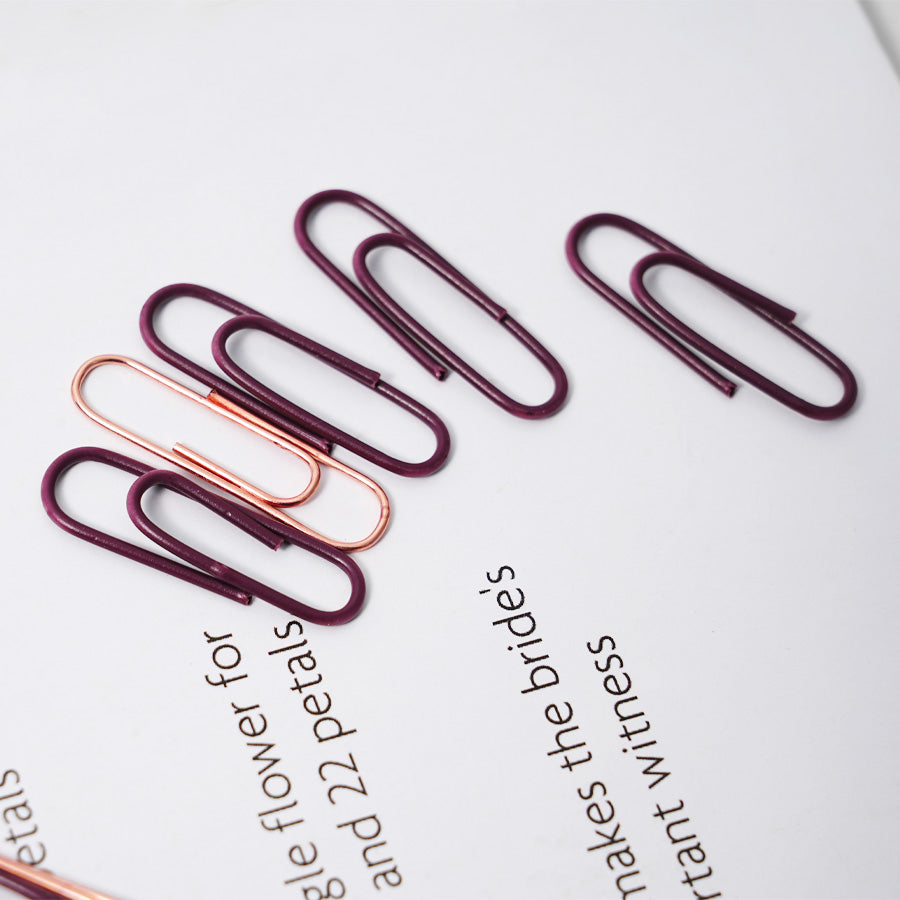 Paper Clips and Binder Clips Set, Metal Assorted Sized Binders with Push Pins, Cute  Office Supplies for Desk, Desk Accessories